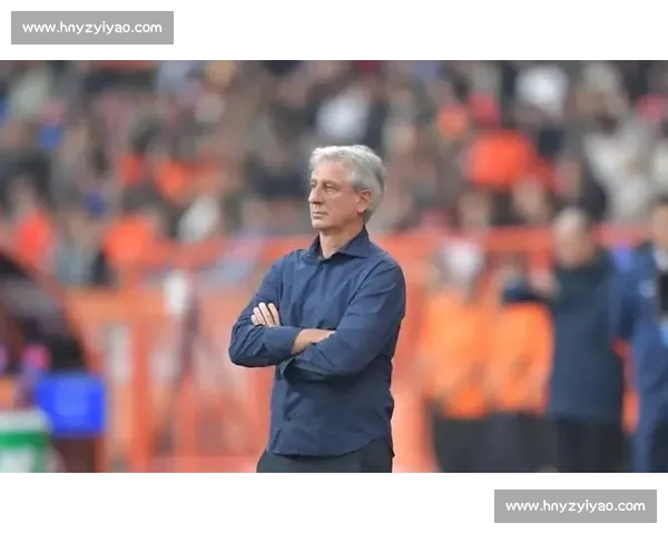 贝夏普尔迎战卢多戈雷欧战焦点对决胜负前瞻解析实力与战术深度剖析