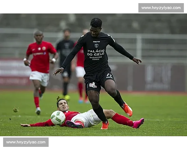 里奥阿维对阵比兰尼关键之战前瞻与胜负走势深度解析全面看点剖析